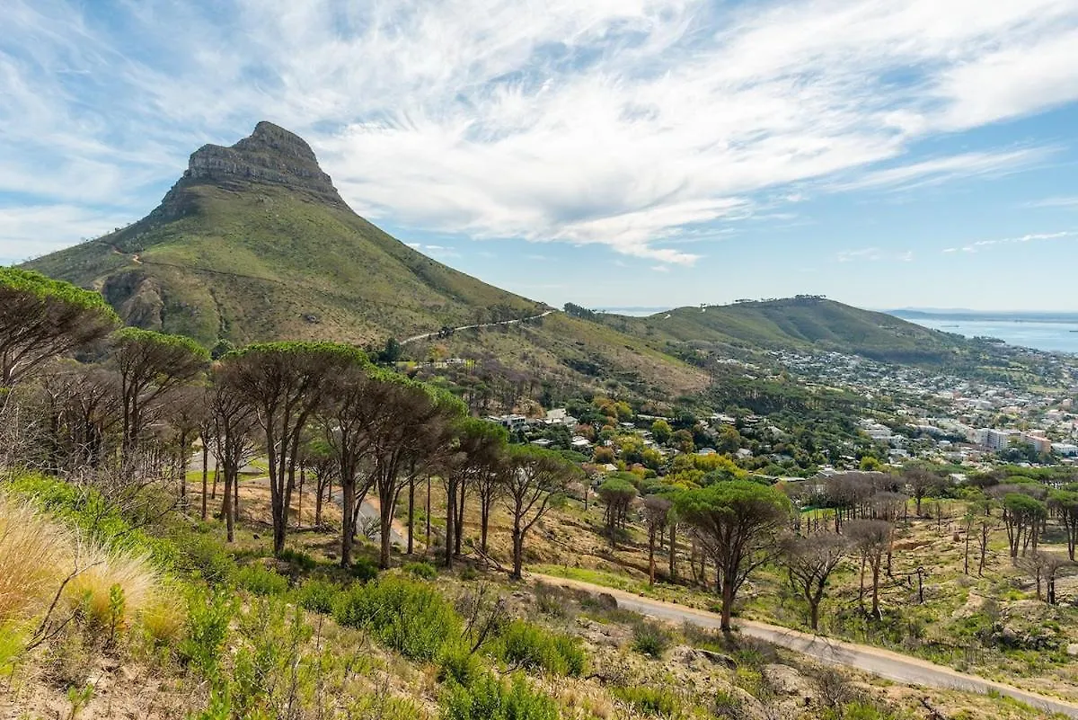 Sunny Haven In The Heart Of The East City W/Parking Le Cap Afrique du Sud